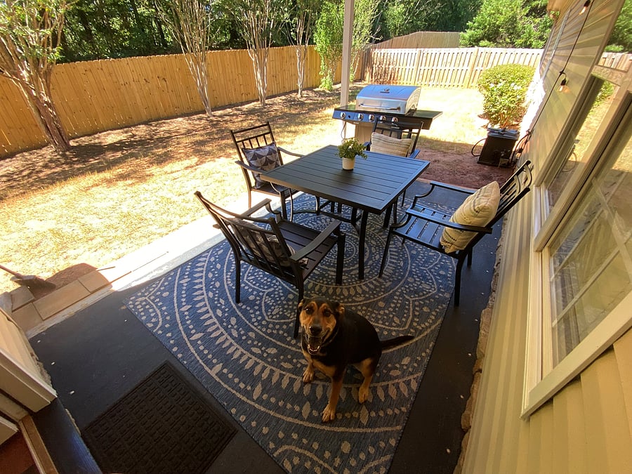 Furnished Finder property 779218_1 photo 45