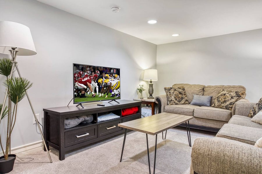 Basement Living Room w/ TV & Couches