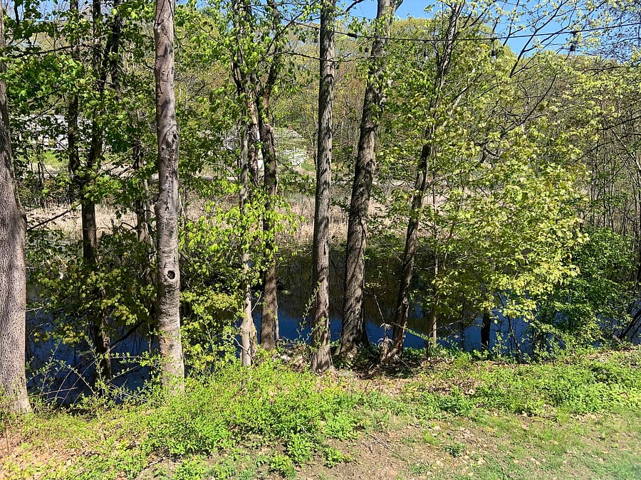 Spacious back deck overlooking peaceful wetlands, where you'll see ducks floating by and hear birds singing. Please be mindful the wetlands water goes up and down through the season. The back yard is not fenced in.