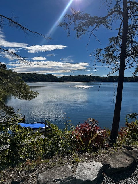 Furnished Finder property 779542_1 photo 7