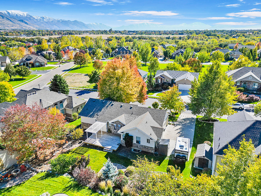 Backyard lawn, trees, fire pit