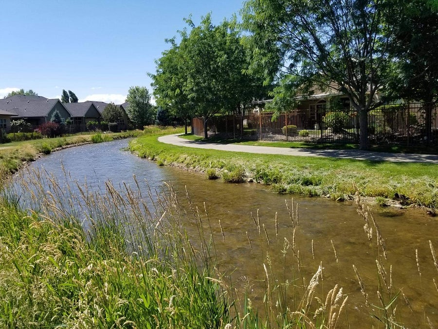 Walking Path along the canal where ducks nest.