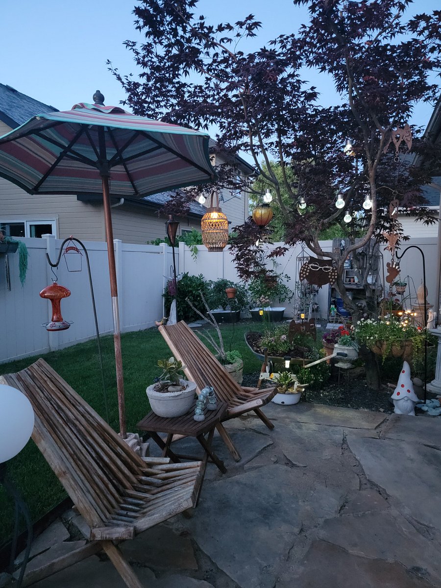 Back Yard Entertaining.