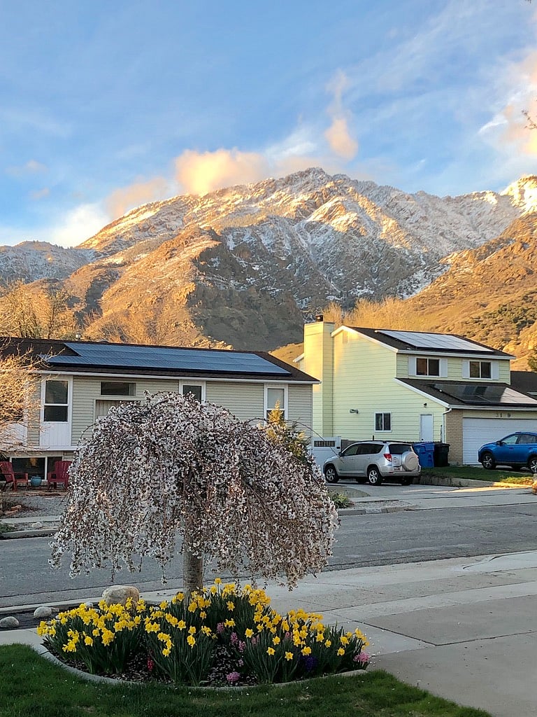 View from front yard looking out.