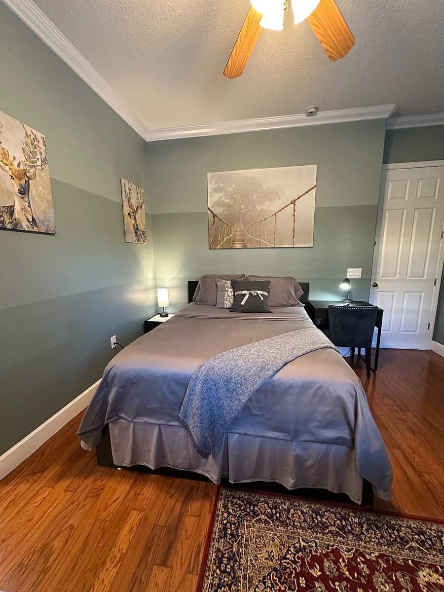 Furnished Finder property 780364_1 photo 6