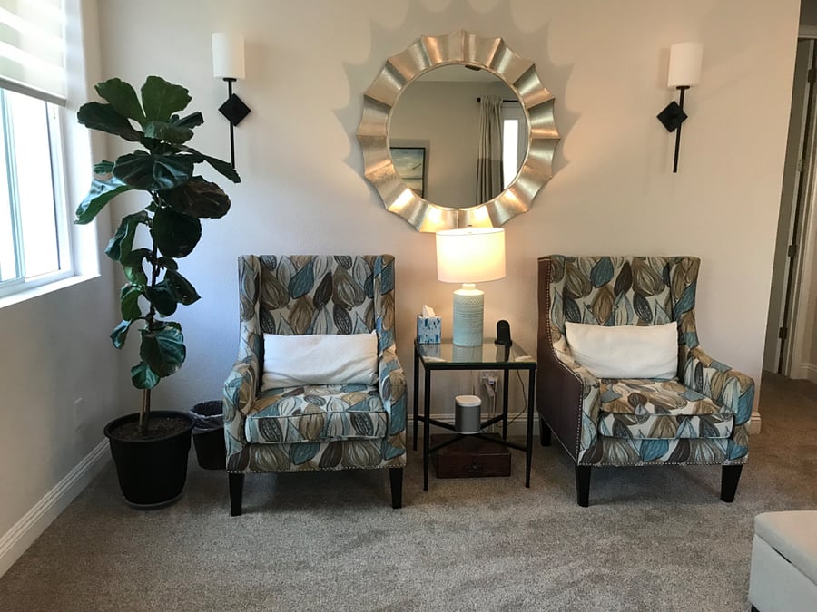 Comfy Living Room chairs