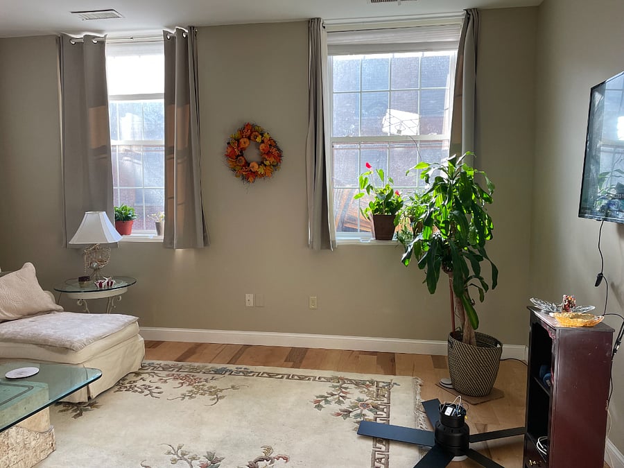 Furnished Finder property 780469_1 photo 3