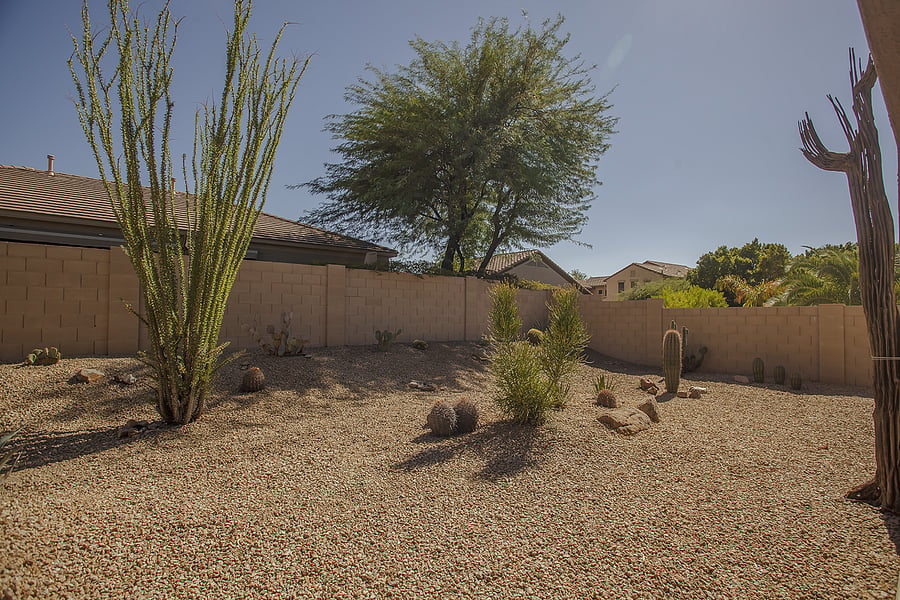 Low maintenance back yard