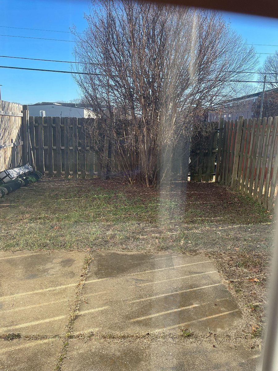 Furnished Finder property 780988_1 photo 22
