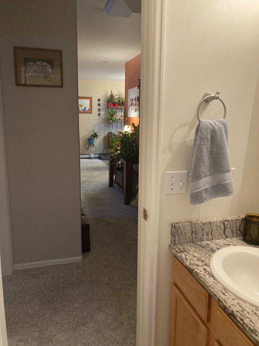 Furnished Finder property 781040_1 photo 10