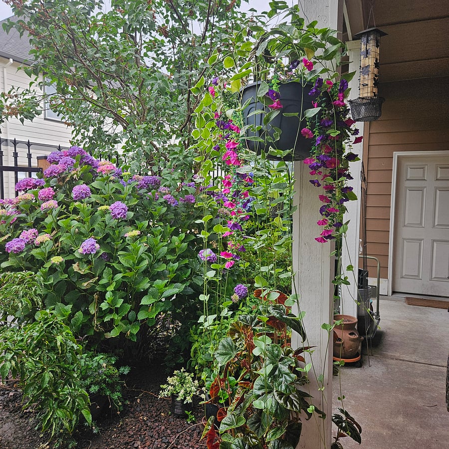 Furnished Finder property 781055_1 photo 22