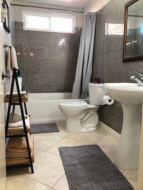 3rd bathroom downstairs 