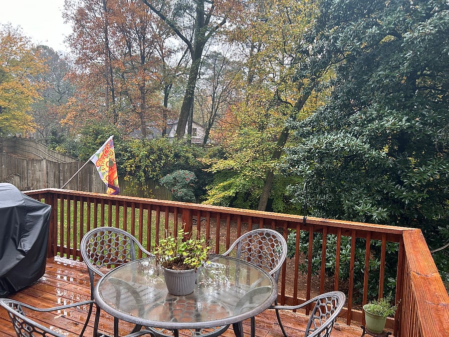 Furnished Finder property 781345_1 photo 5