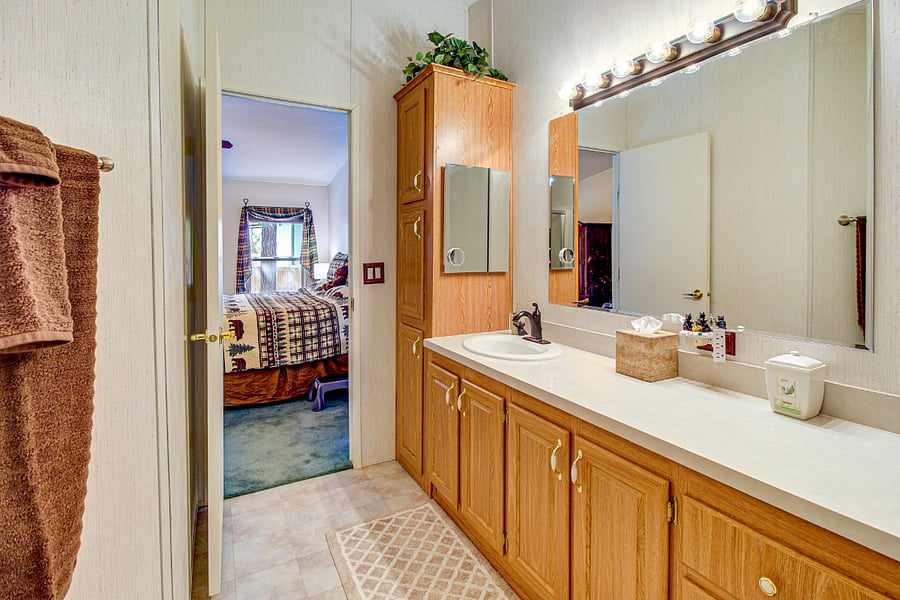 Master Bathroom has plenty of room.