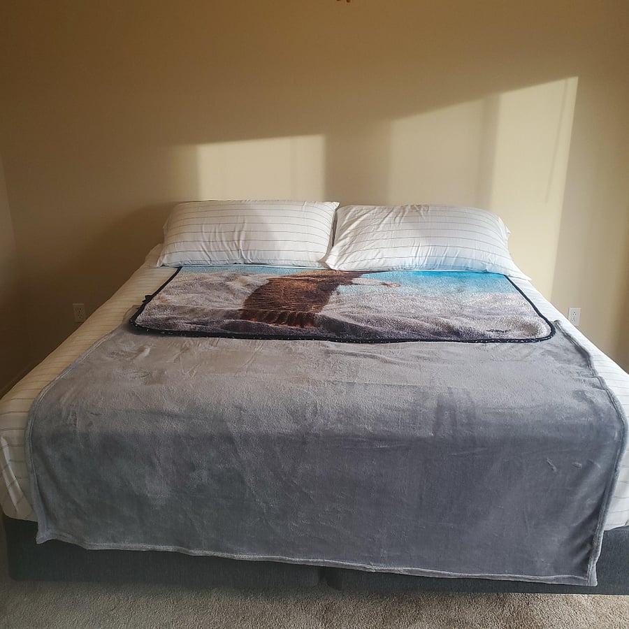 Furnished Finder property 781552_1 photo 5