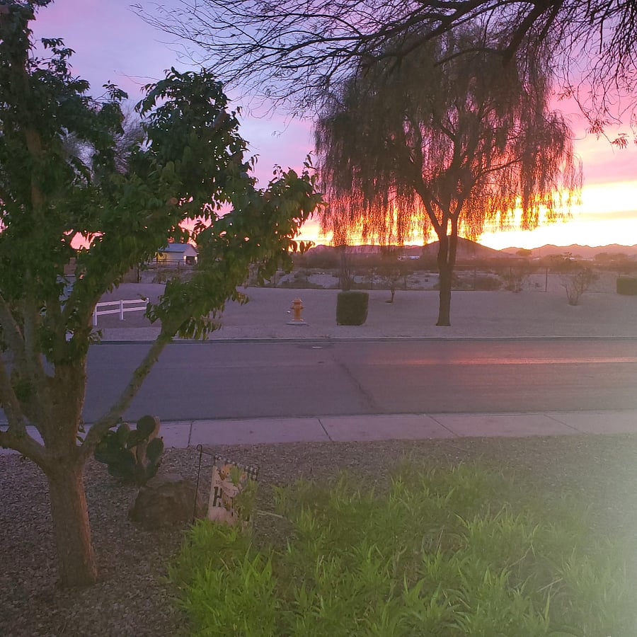 Furnished Finder property 781552_1 photo 6