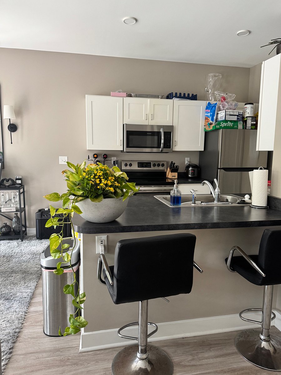 Furnished Finder property 781694_1 photo 6