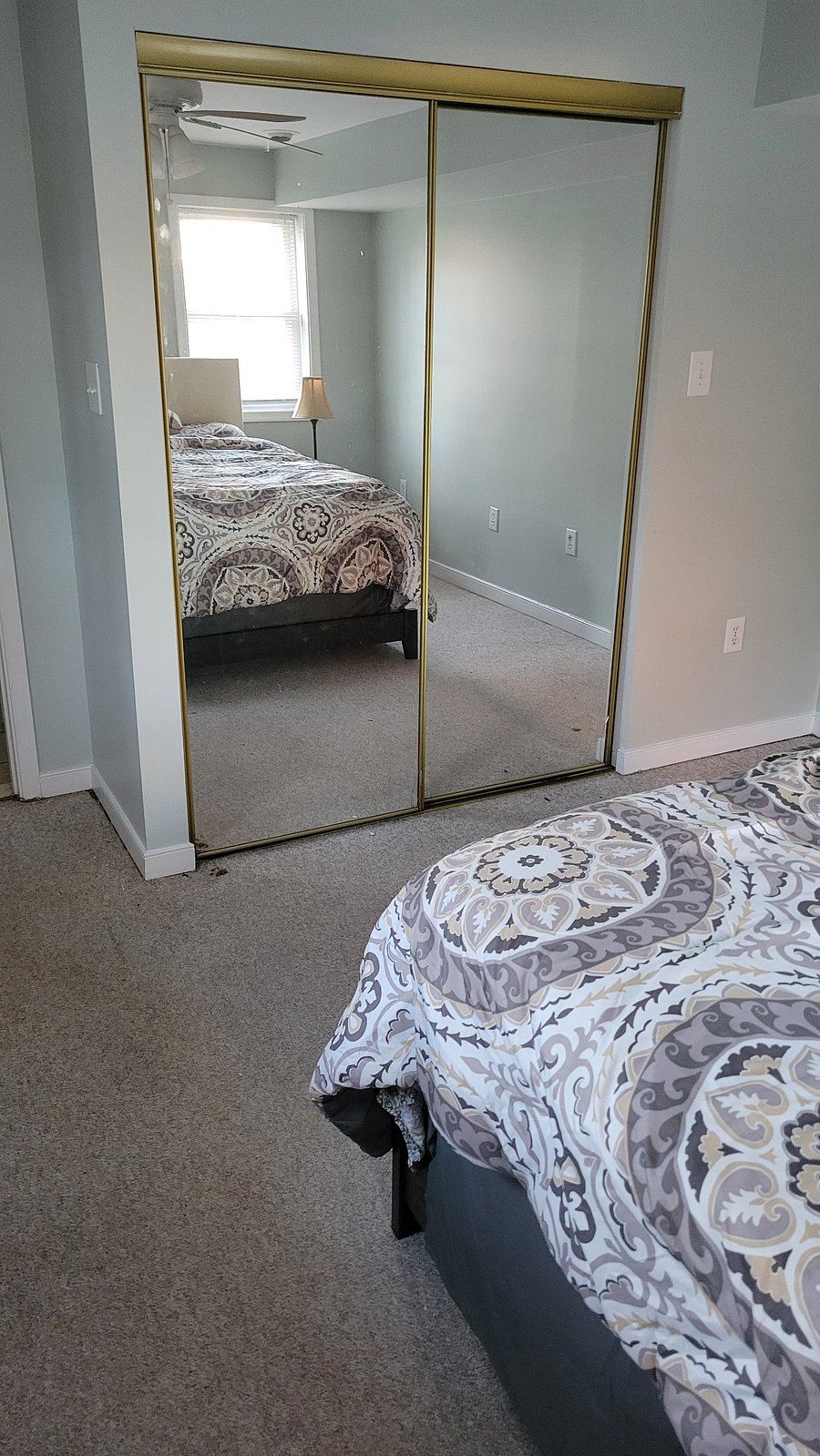 Furnished Finder property 781759_1 photo 3