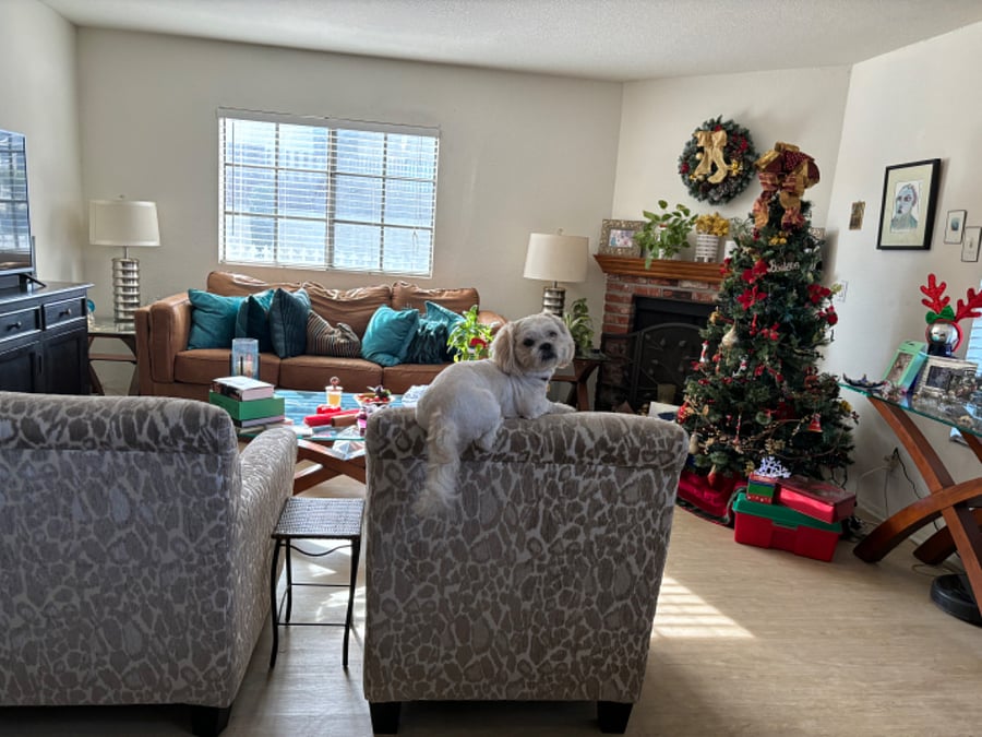 Furnished Finder property 781984_1 photo 10