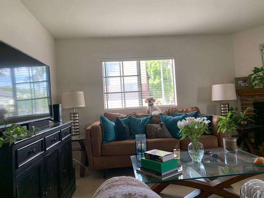 Furnished Finder property 781984_1 photo 11