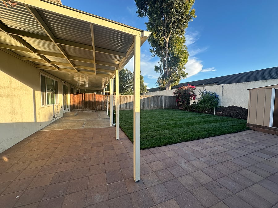 Backyard with grass lawn