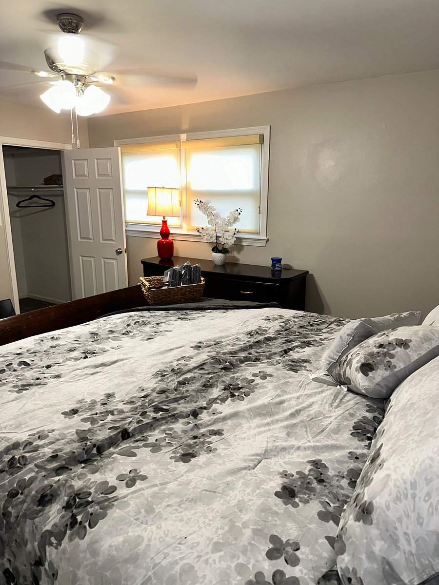 Furnished Finder property 782116_1 photo 5