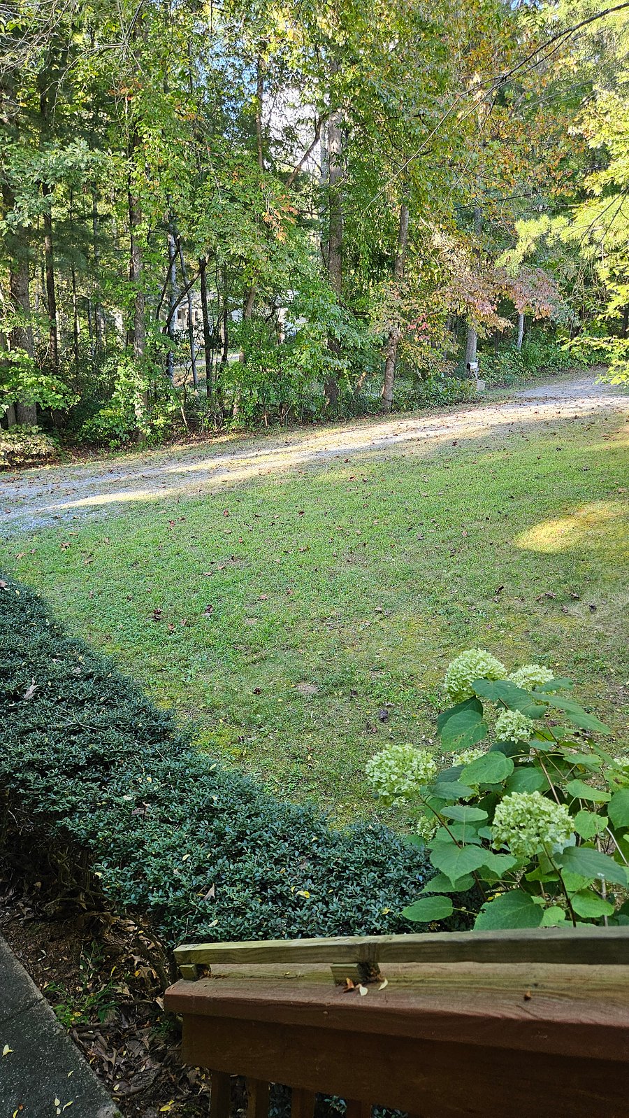 Furnished Finder property 782136_1 photo 3