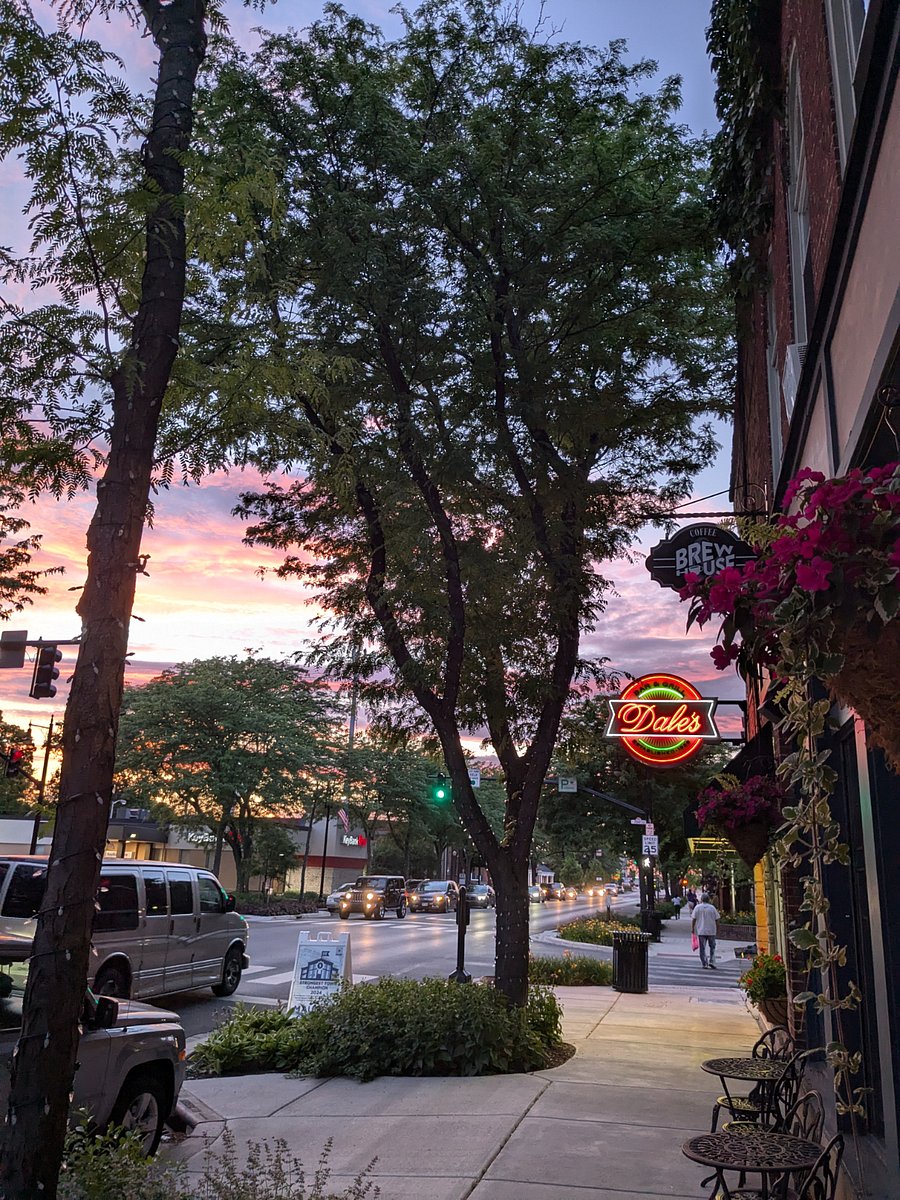 Dales - Sports Bar & Grill, Brew House coffee shop, Village Idiot Pizzaria (offering live music 7 days a week) - all within 5 min walk