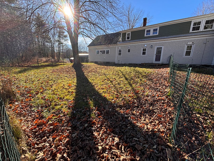 Fenced in Back yard!