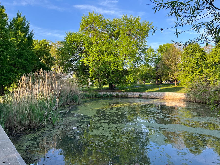 Patterson Park Lake