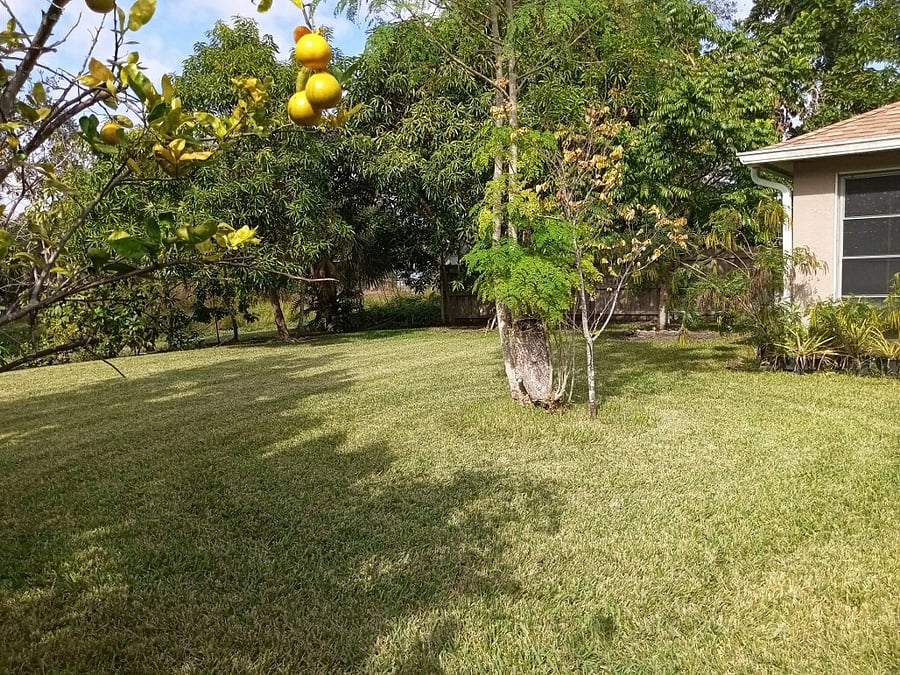 Furnished Finder property 782249_1 photo 10