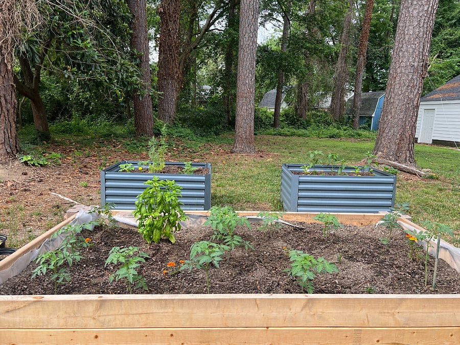 I love to garden! Garden space provided. 