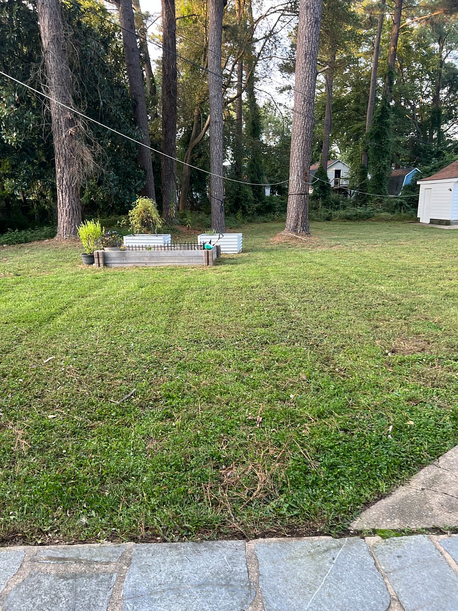 Large backyard. 1/2 acre total on the property. 