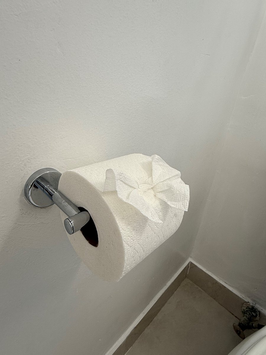 Toilet Holder