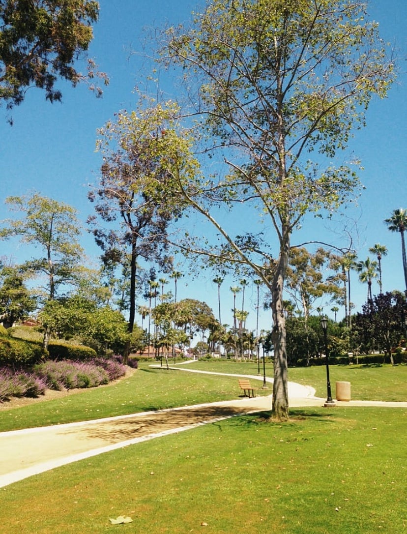 La Jolla Colony Park