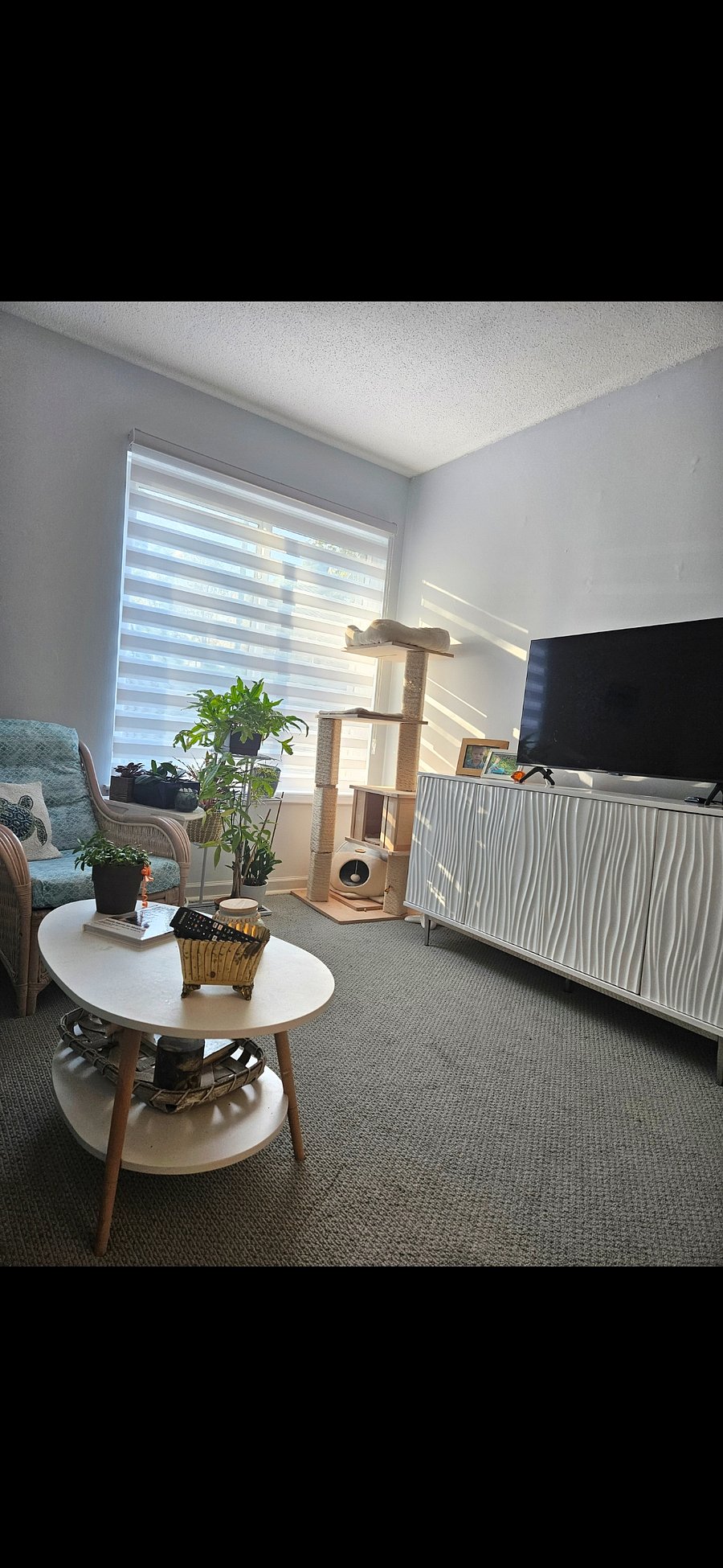 Furnished Finder property 782567_1 photo 8
