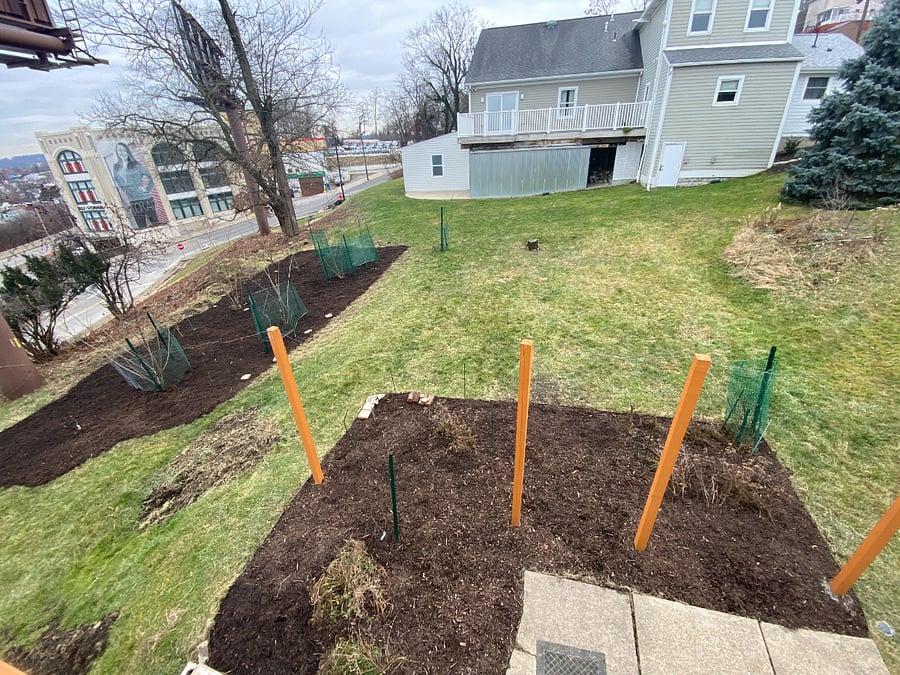 Backyard garden for serenity or a little game of catch!