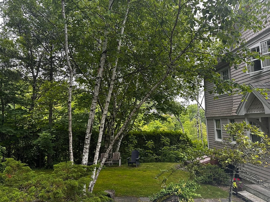 Furnished Finder property 782888_1 photo 18