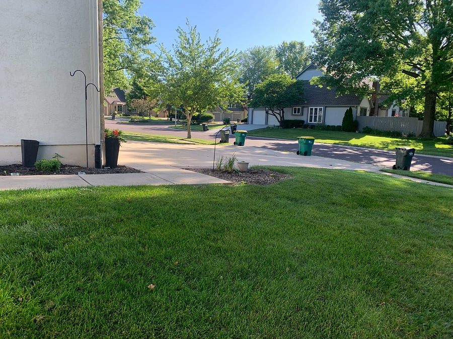 The neighborhood is beautiful & quiet. Walking trails are all around. A beautiful park with pond and trails as well as a fenced off-leash dog park are walking distance. 