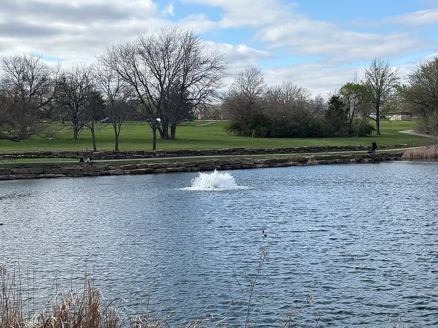 Neighborhood Park with pond, walking trails and off leash dog park across the street.