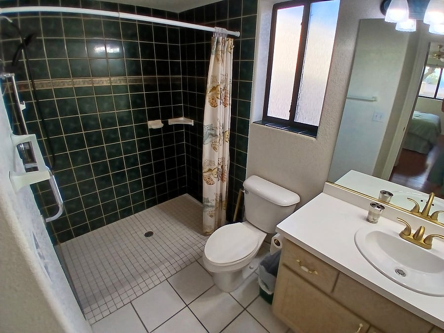 Bath features zero-entry shower