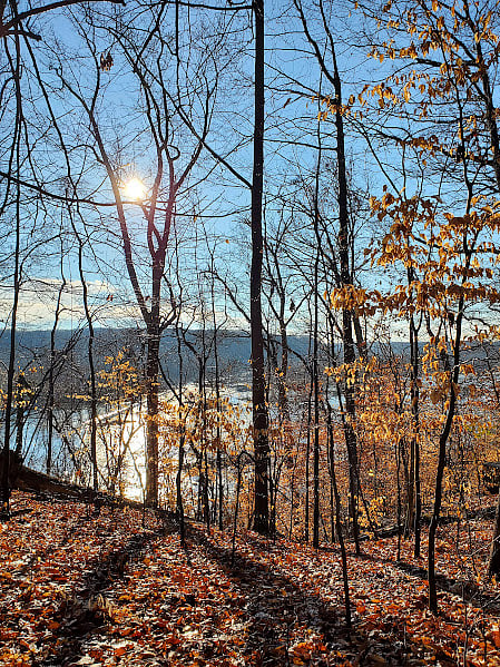 View from the trails