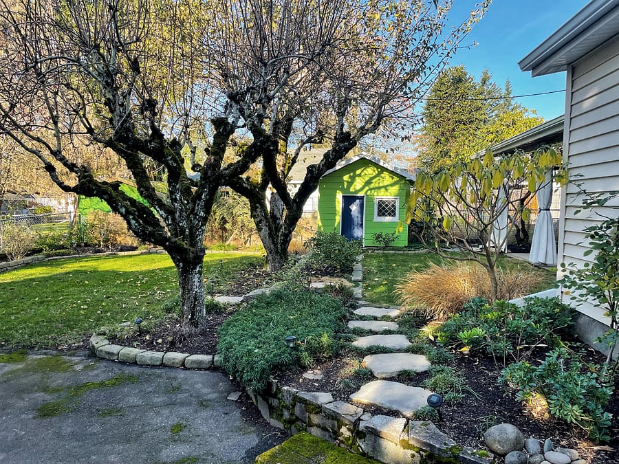 Backyard