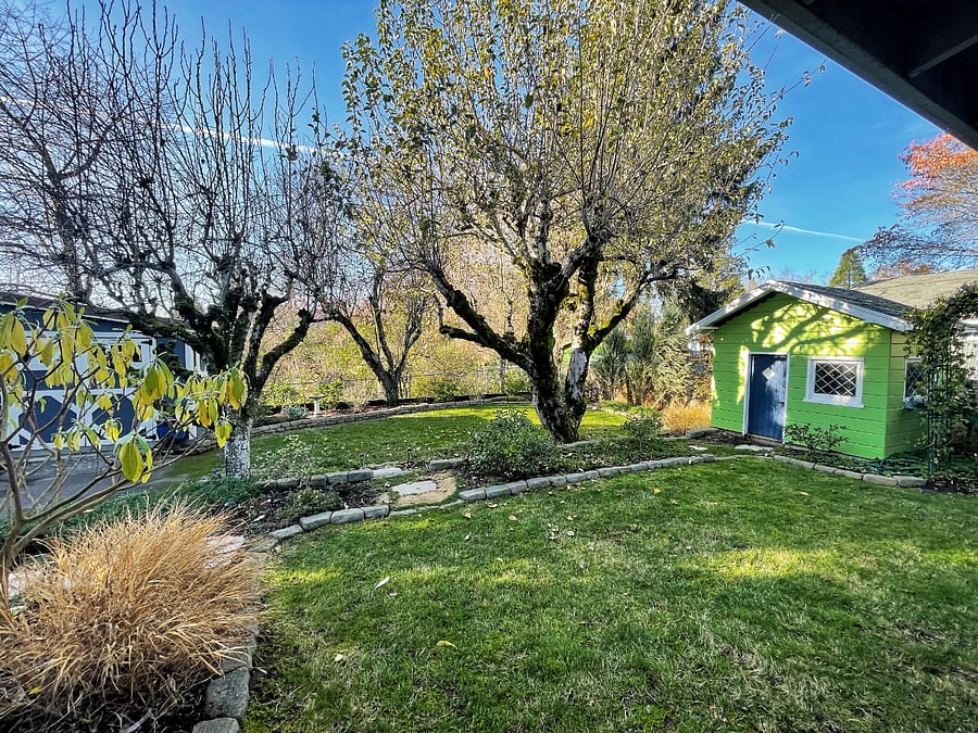 Backyard viewed from back patio