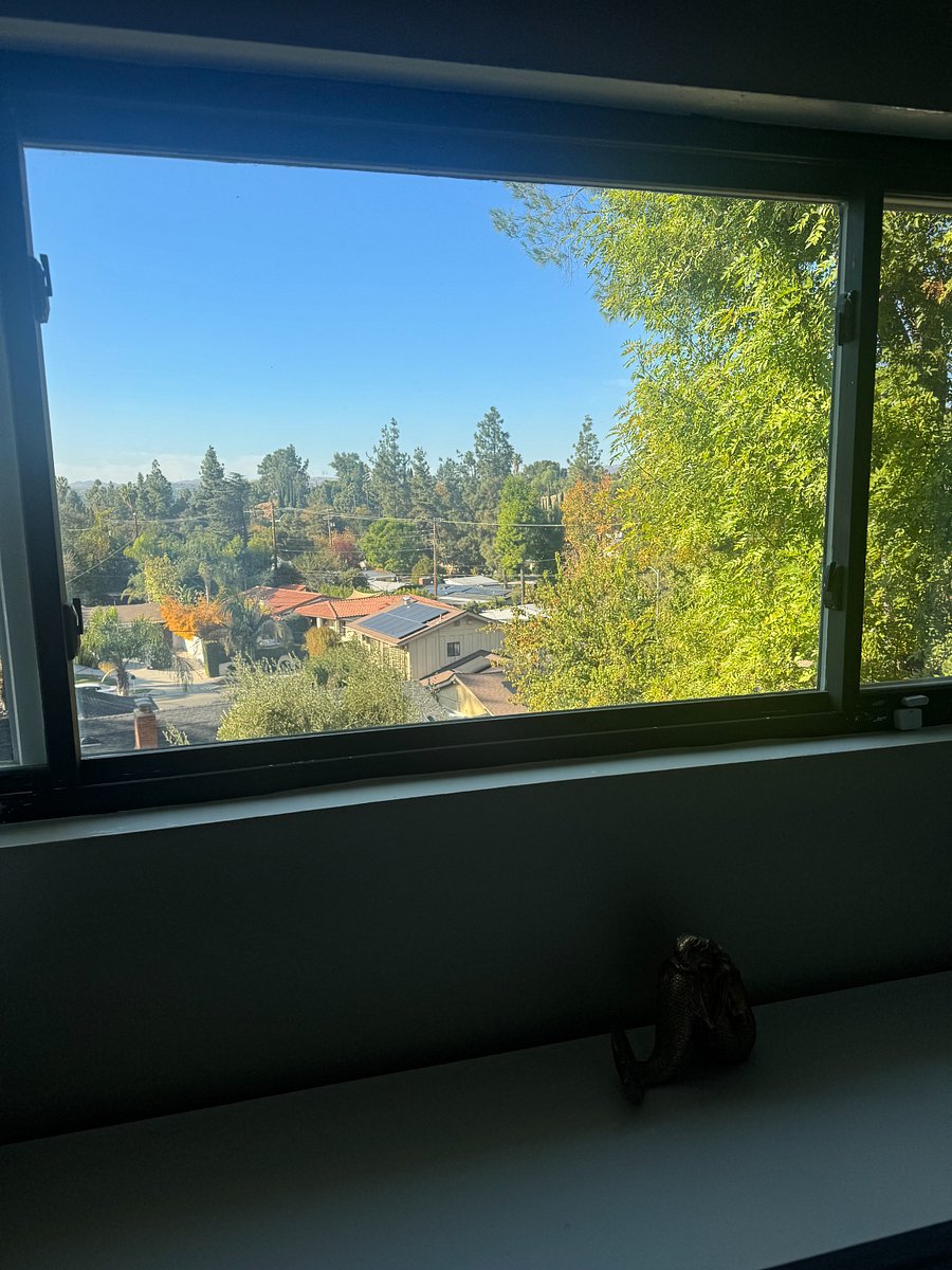 view from the bedroom