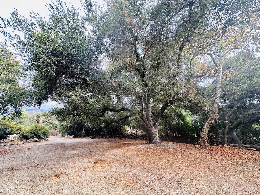 Furnished Finder property 783349_1 photo 17