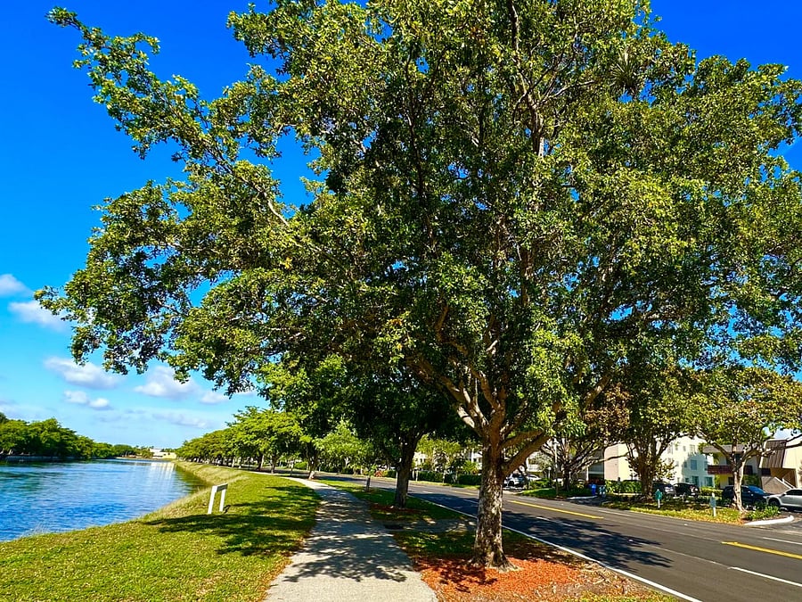 Furnished Finder property 783466_1 photo 17