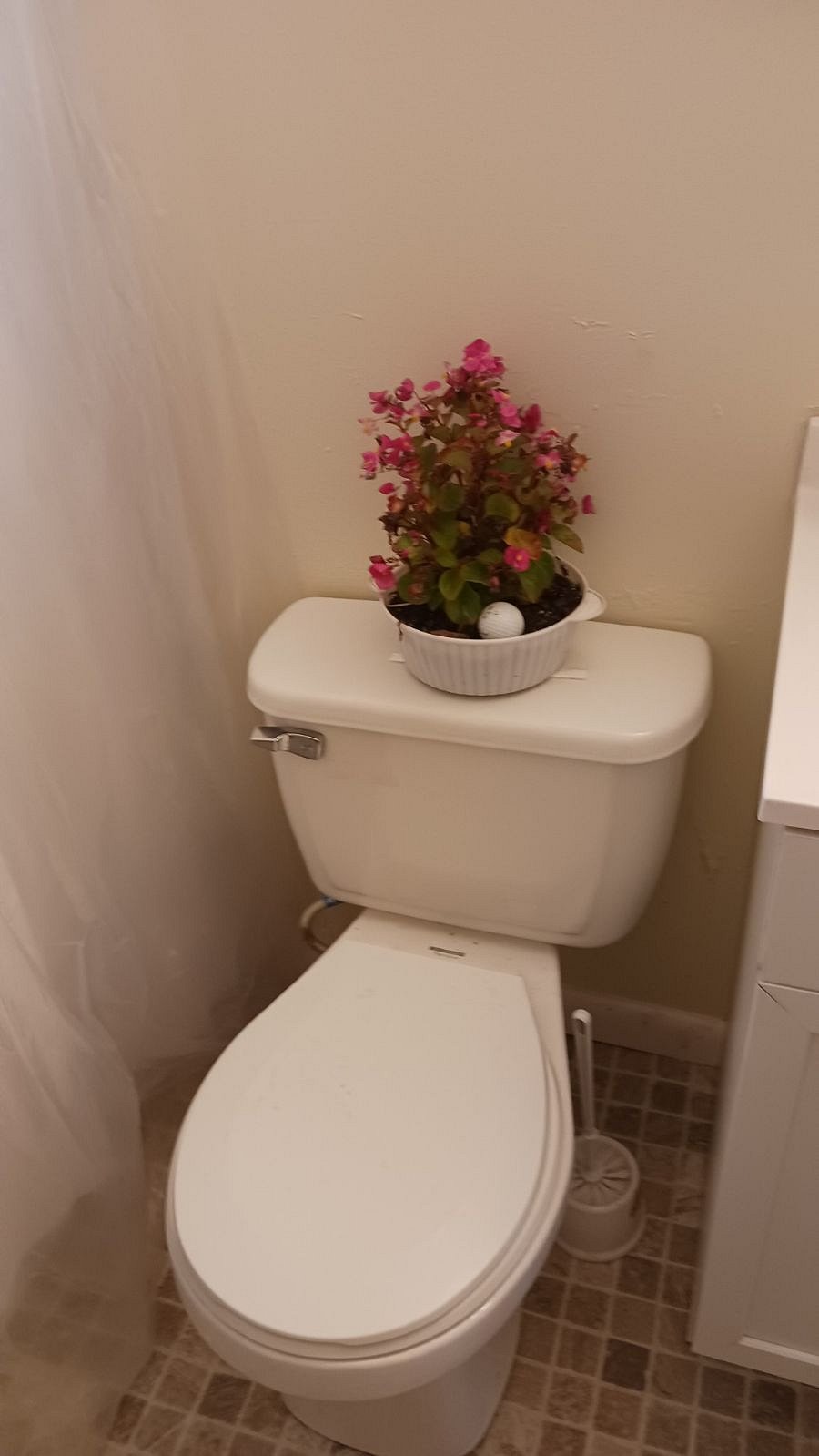 Furnished Finder property 783708_1 photo 17