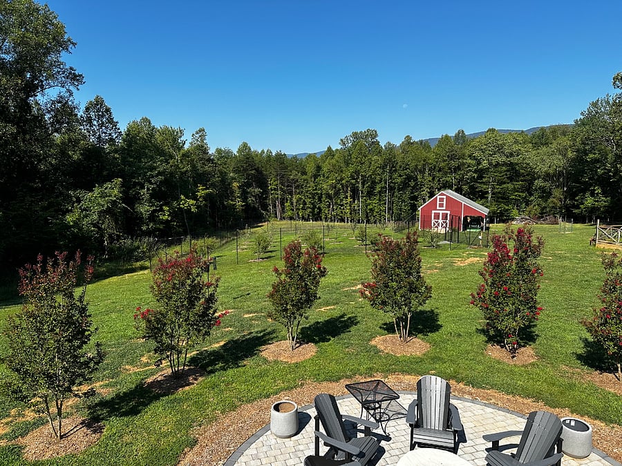 View of small red barn and orchard with apple and peach trees.