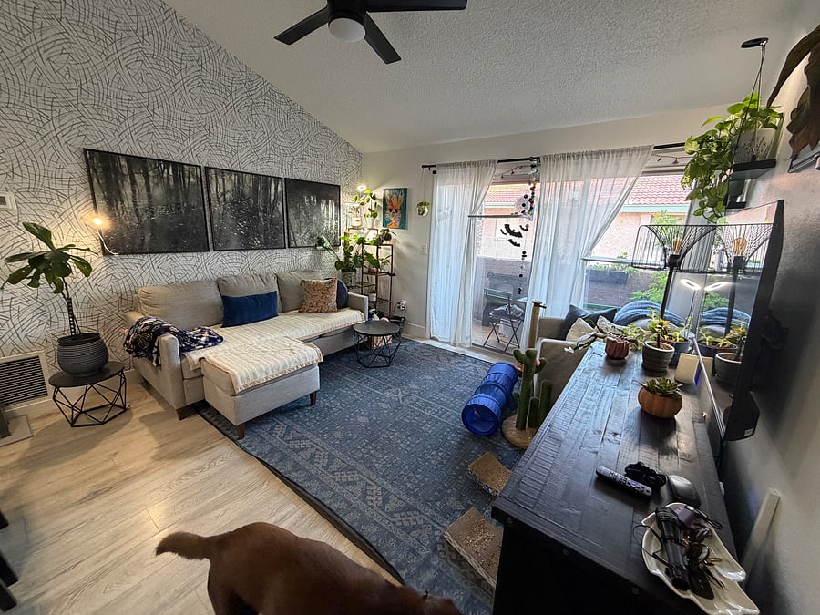 Furnished Finder property 783875_1 photo 10